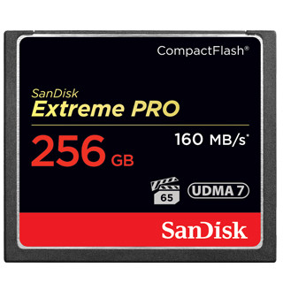 SANDISK Compact Flash Extreme Pro 256GB